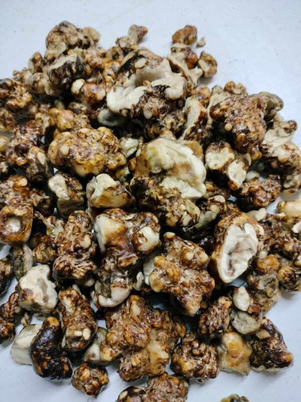 Magic Truffel Pajateros 20 gram