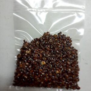 Magic truffel Mexicana 20 gram