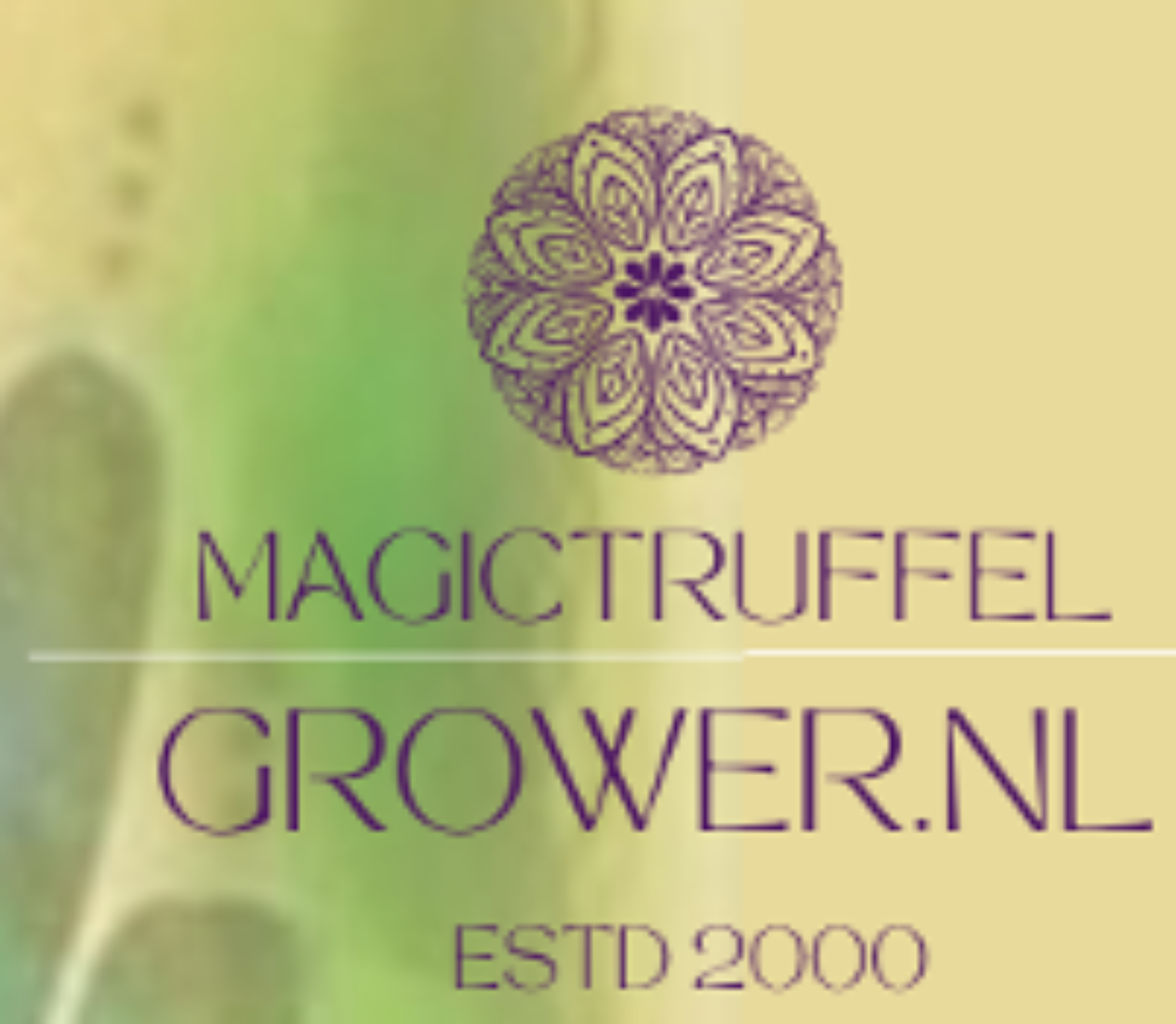 Magic Truffel Grower